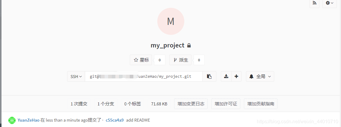 gitlab怎么设置默认从mster拉分支 从gitlab拉项目到本地命令_git_09