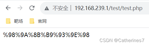 nginx 拦截转发后添加了上下文 nginx拦截请求参数_web安全_11