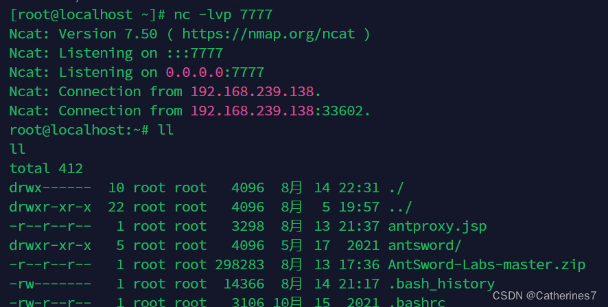 nginx 拦截转发后添加了上下文 nginx拦截请求参数_nginx 拦截转发后添加了上下文_19