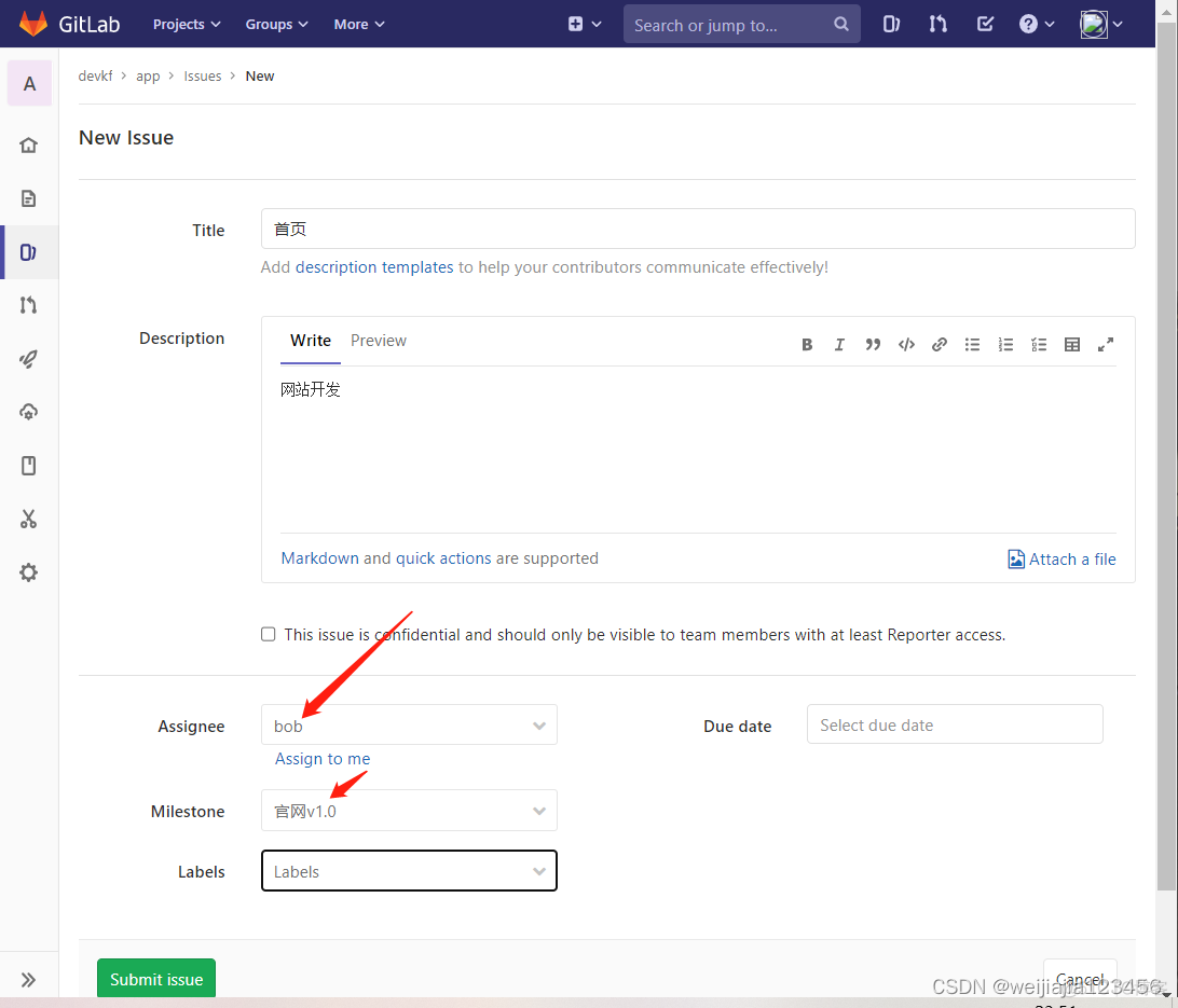 gitlab 群组 public 修改 gitlab新建group_git_12