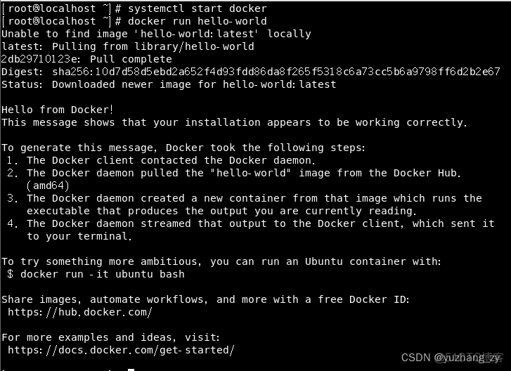 docker命令自动填补容器名字 docker 容器命令_docker_07