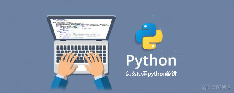 python 缩进 两个空格改成4个空格 python怎么一起缩进_Python