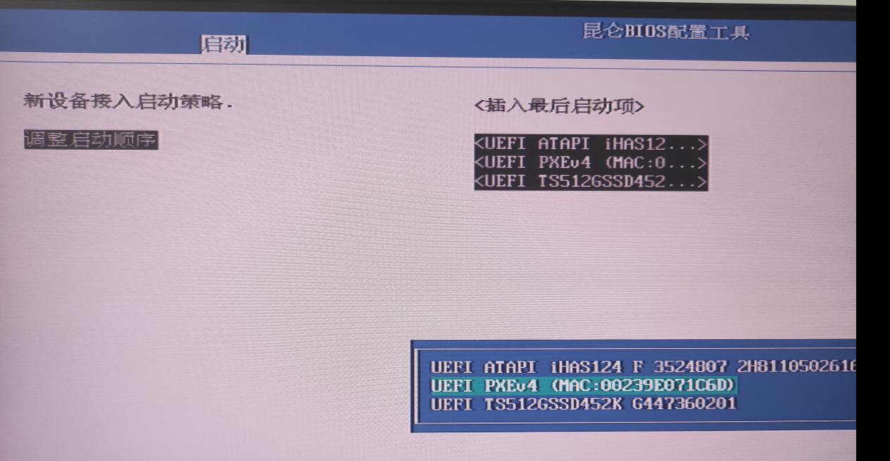 昆仑固件bios升级 昆仑固件 bios设置_IP_04