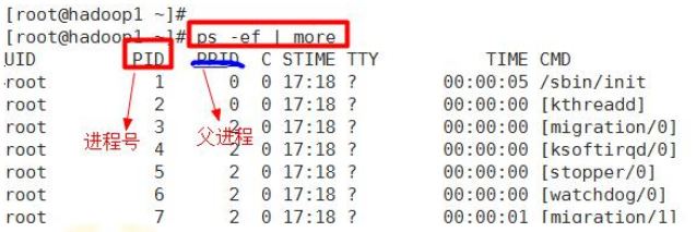 centos 7 查询进程id centos7查看所有进程_数据库_03