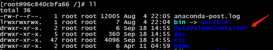 如何通过TCP socket连接docker docker查看tcp连接数_数据库_05