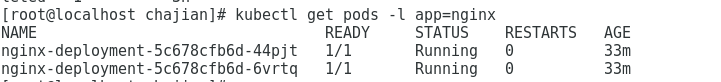 kingbase 容器化部署 字符集 kubernetes如何简化容器化部署_Pod