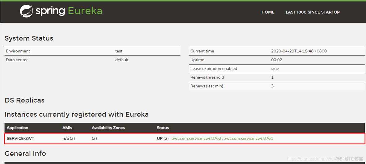 springboot eureka 启动参数 spring eureka作用_服务器_11