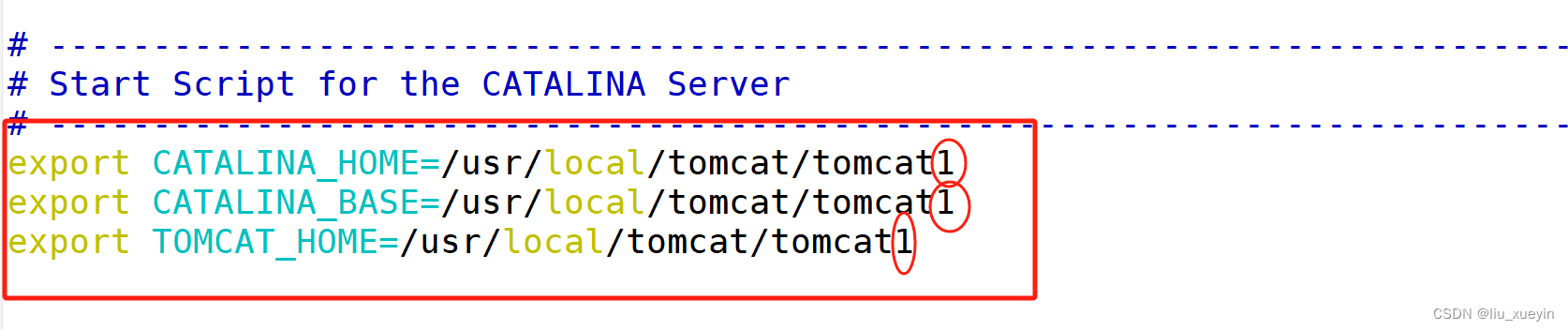 nginx 部署多个80 nginx多实例部署_tomcat_09