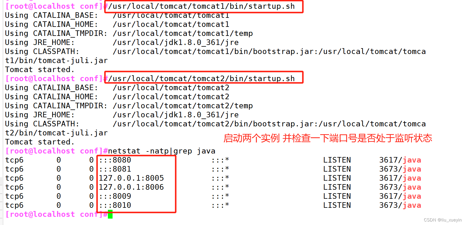 nginx 部署多个80 nginx多实例部署_nginx_13