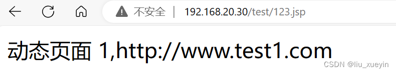 nginx 部署多个80 nginx多实例部署_负载均衡_25