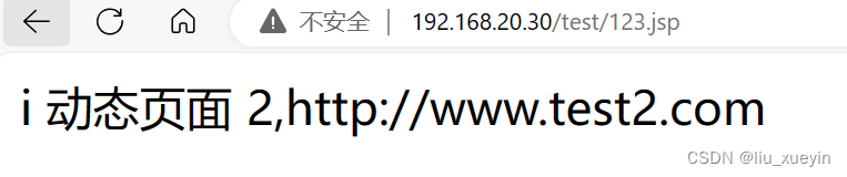 nginx 部署多个80 nginx多实例部署_nginx_26