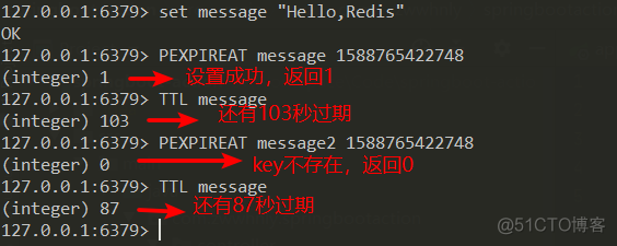 Java redis 处理订单过期 redis过期时间单位_Java redis 处理订单过期_12