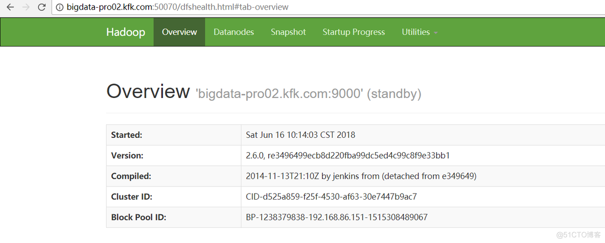 hadoop 集群启动中的所有进程和进程的作用 简述hadoop ha集群的启动步骤_zookeeper_02