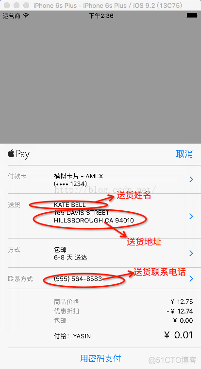 ApplePayPaymentAuthorizationResult 获取 apple pay for_Apple_04