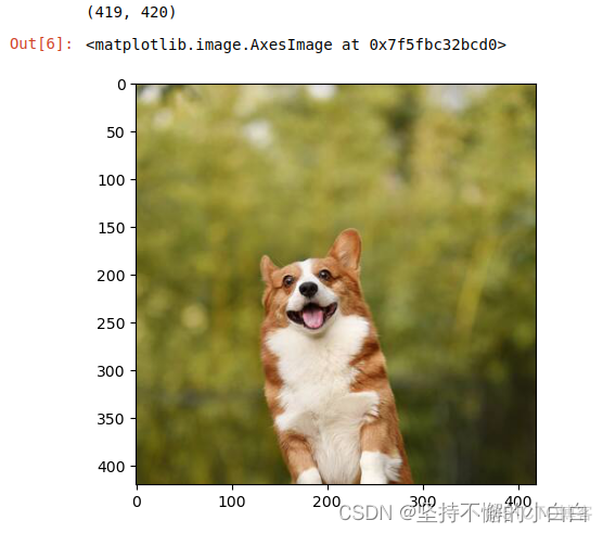 pytorch部署FPGA pytorch部署方法_linux_05