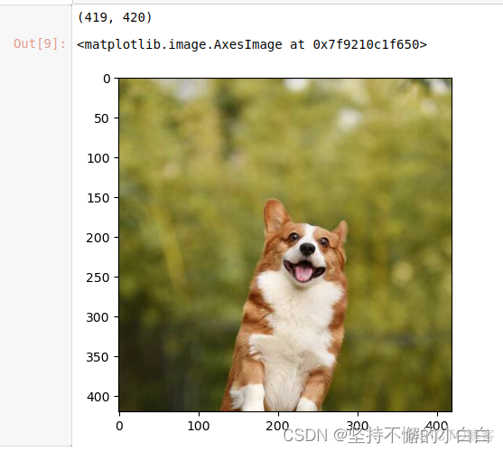 pytorch部署FPGA pytorch部署方法_linux_12