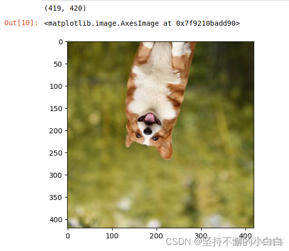 pytorch部署FPGA pytorch部署方法_pytorch_13