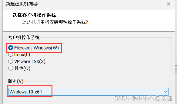 vmvare怎么根据镜像创建 vmware16镜像_windows_07