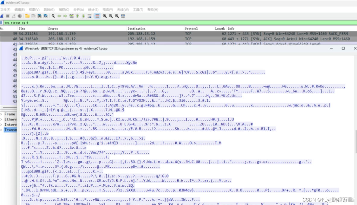 如何通过wireshark数据包情况统计速率 wireshark如何分析数据包_IP_11