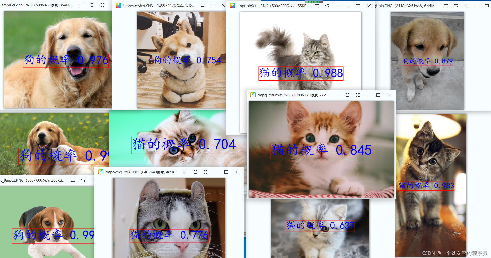 pytorch 训练猫狗分类识别 猫狗识别算法_pytorch 训练猫狗分类识别