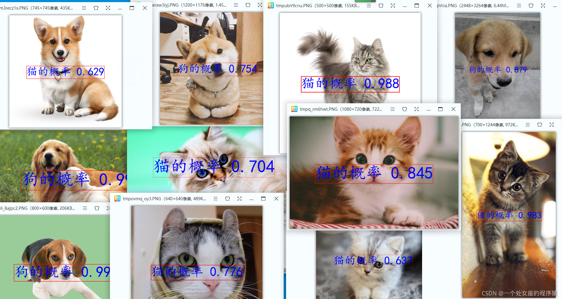 pytorch 训练猫狗分类识别 猫狗识别算法_tensorflow_02