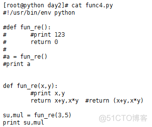 python 主函数里定义的变量 在其他文件中使用 python在主函数中调用函数_默认值_10