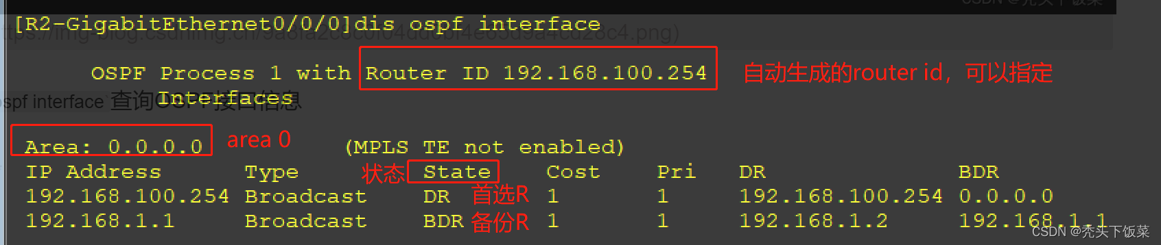 ensp ospf交换机简单配置 ensp配置ospf路由协议命令_OSPF_04