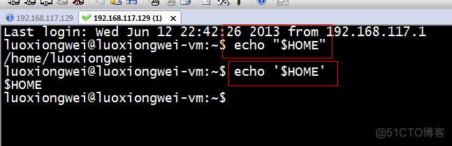 linux shell echo 打印引号 linux shell 单引号_双引号_02