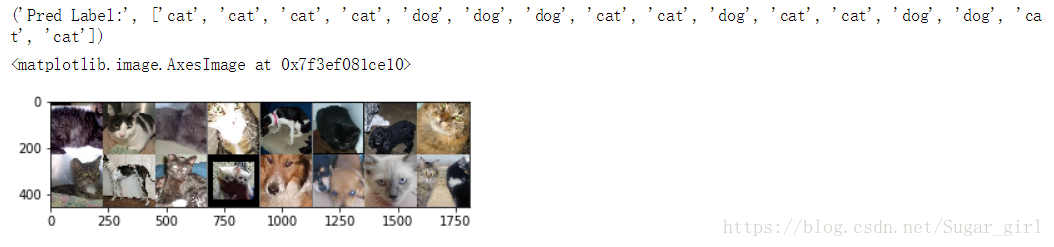 使用pytorch进行猫狗识别 猫狗分类pytorch_ide_02