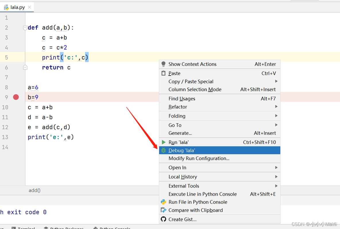 liux 怎么debug python代码 debug pycharm_bug调试_03