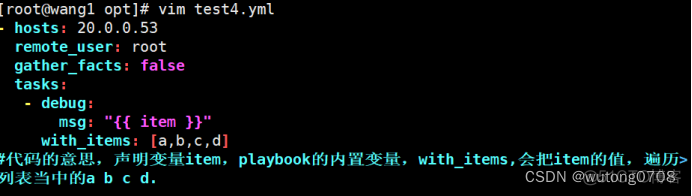 ansible playbook指定主机列表执行 ansible playbook执行shell脚本_模版_38