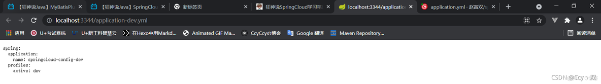 RedisUtils 狂神说 狂神springcloud笔记_Cloud_35