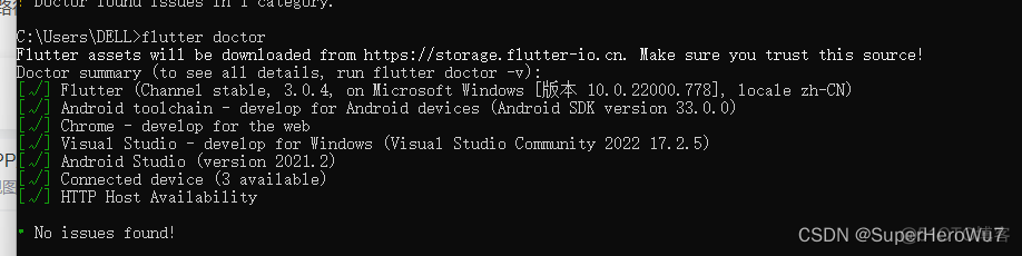 fluter windows 编译ios flutter2.0 windows_PowerShell_10