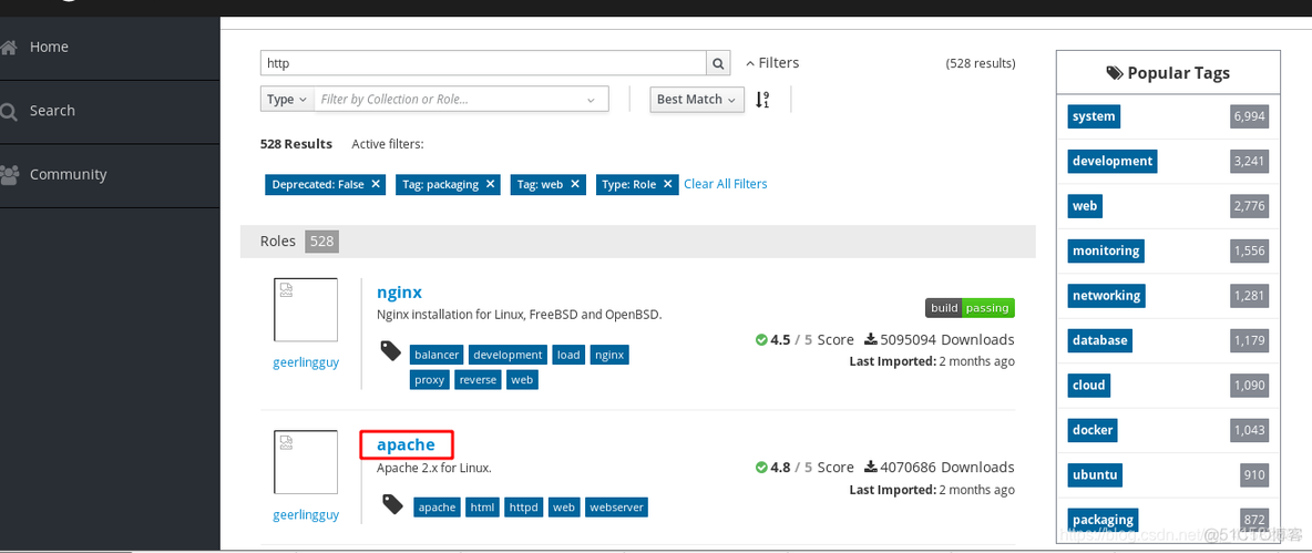 ansible roles 带参数 ansible roles实战_目录结构_06