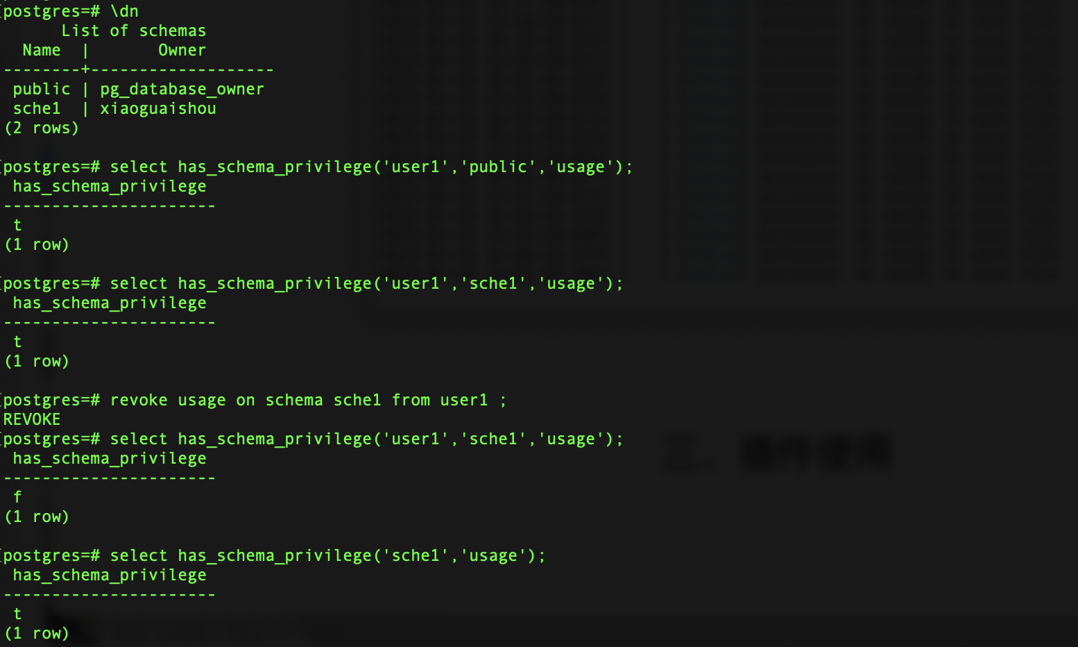 pg授权查看一个schema pg查询表权限_数据库_11