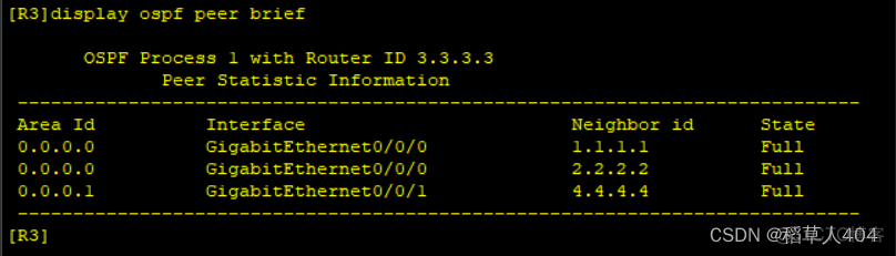 ensp配置mpls l2vc ensp配置ospf路由协议命令_网络协议_22