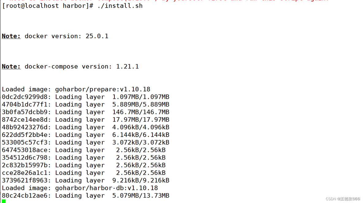 Docker 注册表对 Docker 镜像进行 shell 处理 docker注册表下载失败_容器_08