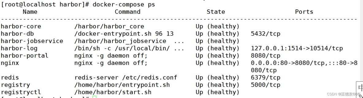 Docker 注册表对 Docker 镜像进行 shell 处理 docker注册表下载失败_容器_09