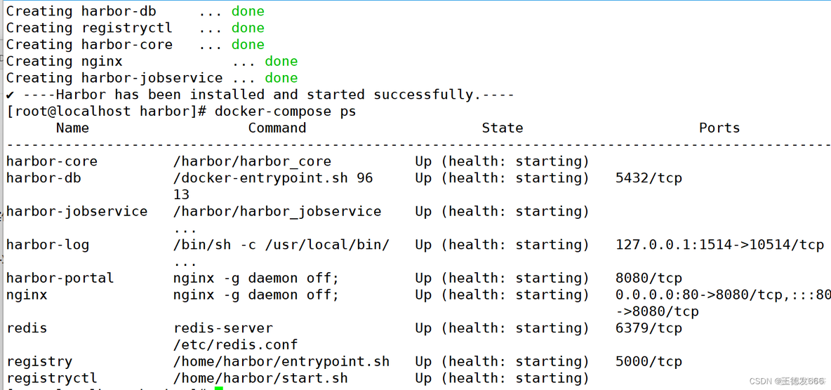 Docker 注册表对 Docker 镜像进行 shell 处理 docker注册表下载失败_容器_36