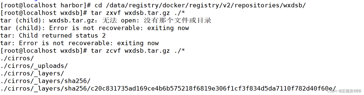 Docker 注册表对 Docker 镜像进行 shell 处理 docker注册表下载失败_容器_38