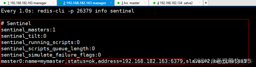 redis集群主备切换频繁 redis cluster 主从切换命令_服务器_38