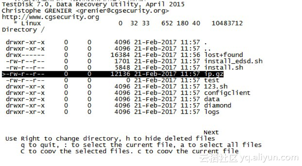 linux testdisk数据恢复 linux系统数据恢复_数据库_11