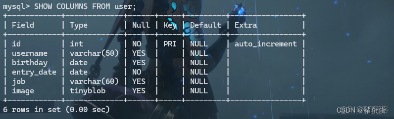 mysql ibdata 修改 mysql怎么修改数据_数据库_16