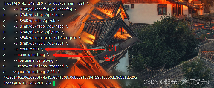 青龙面板python更改版本 青龙面板使用教程_容器_08