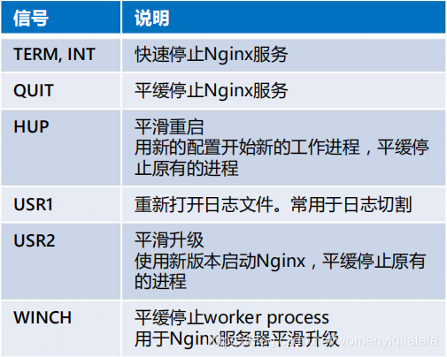 nginx linux上如何启动 linux nginx是否启动_nginx_06