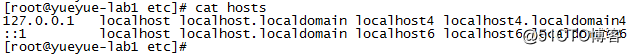 linux看网卡 vlan linux看网卡配置文件_IPV6_12