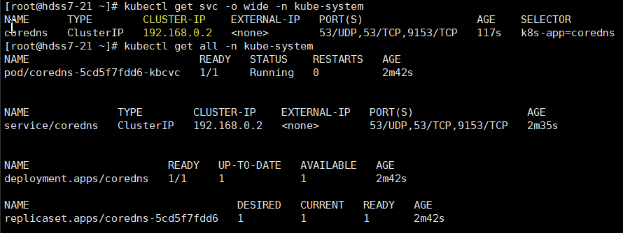 k8s部署springboot项目nacos配置 k8s部署coredns_nginx_02