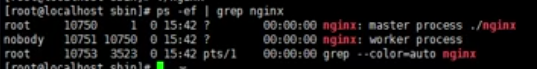 Linux nginx 文件夹 nginx命令linux_Nginx_03