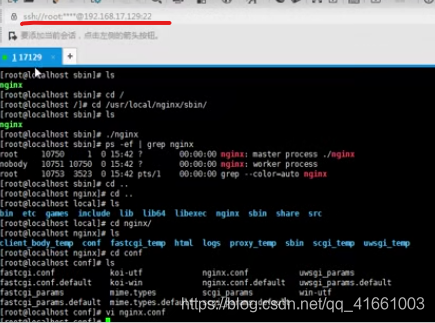 Linux nginx 文件夹 nginx命令linux_端口号_07