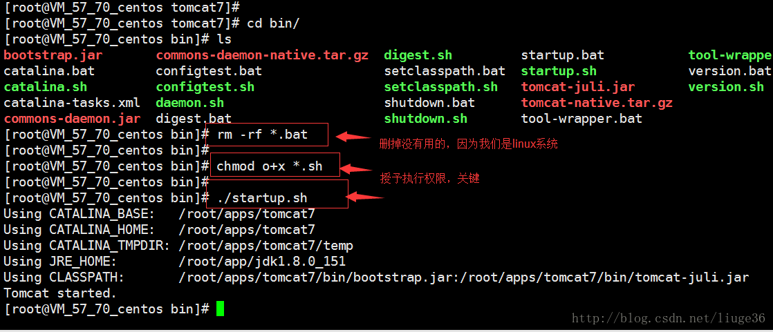 数据库部署至云服务器 云服务器部署mysql_nginx_02